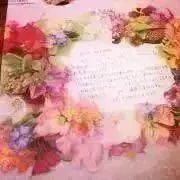 ◇emy◇ プロフ読んでねʕ•ᴥ•ʔの画像