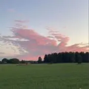 このの画像