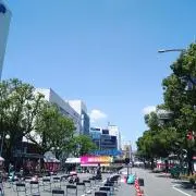 shirado