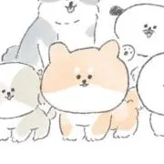 ダオイの画像