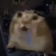 じゃねの画像