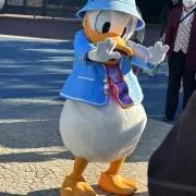 Chapppの画像