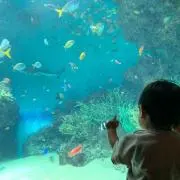 nakamo ★即購入大歓迎★の画像