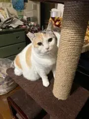 わかわか