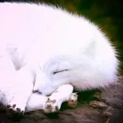 雨色