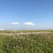 Cocomiの画像