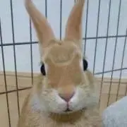 latte.の画像