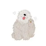 ⚪︎YU⚪︎※プロフ必読の画像