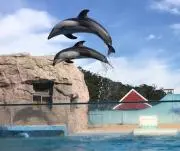 hanaの画像