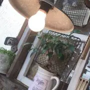 あずき☆