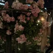 мёiの画像