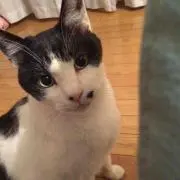 よーよー