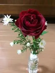 おとやんの画像
