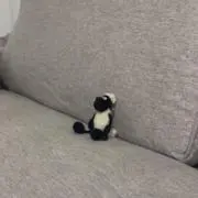 KINGの画像