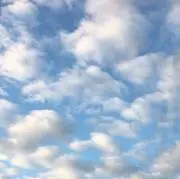 Yuriの画像