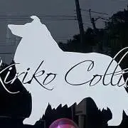 ナッツの画像