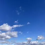 ポテト