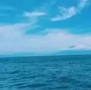 M.の画像