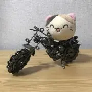 Aikiの画像