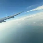 もるてんの画像