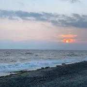 バナナの画像