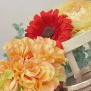 Kの画像