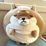 めだかんの画像
