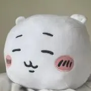 キキの画像