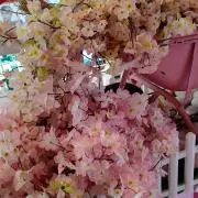 AYAKA
