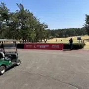 カーズの画像