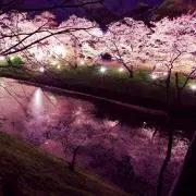 あすの画像