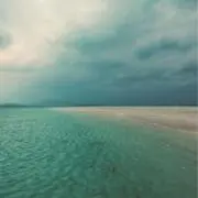 めめの画像