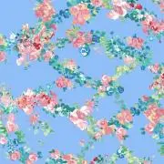 ♡Konomi♡の画像