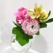 ちびの画像