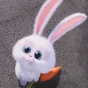 うさぎ