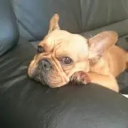 たろう