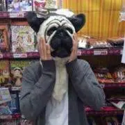 けいていの画像