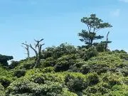 山の画像
