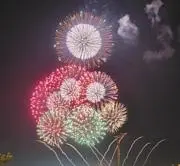 アキの画像