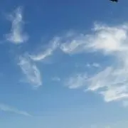 鯖男