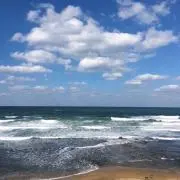 めめ