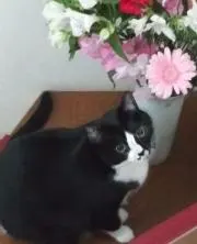 Yuki☆の画像