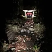 マックルーの画像
