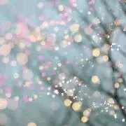 pipeの画像