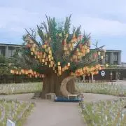 はとこの画像