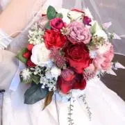 いがぴの画像