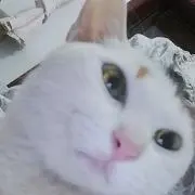キキ