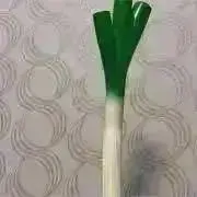 ネギ断捨離中の画像