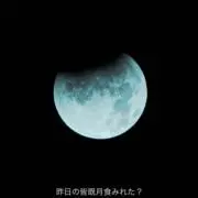 みーの画像