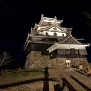やこの画像